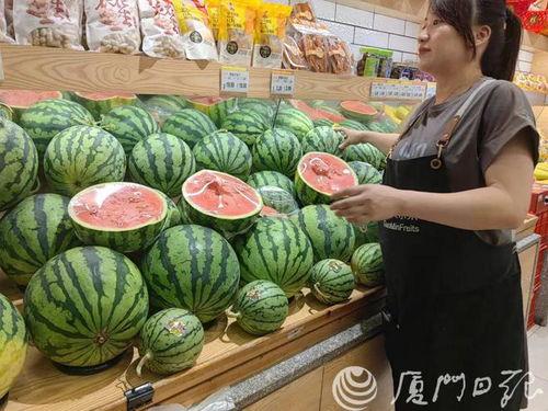 瓜今日行情,今日行情一览，价格波动背后的秘密解析”