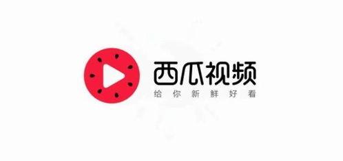 今日头条的瓜叫什么名字,瓜名背后的故事与真相