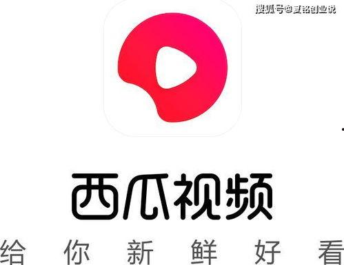 今日头条的瓜叫什么名字,瓜名背后的故事与真相
