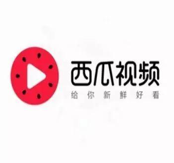 今日头条的瓜叫什么名字,瓜名背后的故事与真相