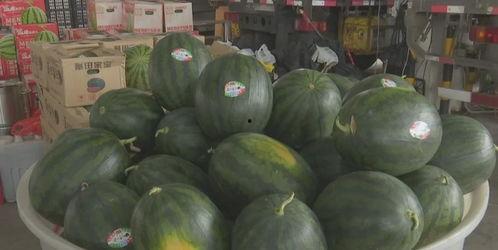 今日吃瓜热门大瓜,娱乐圈惊天大瓜，揭秘明星背后惊人真相！