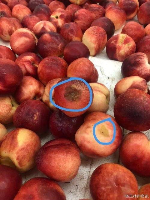 同城热门梨瓜,梨瓜新宠，夏日清凉佳选