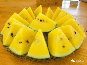 今日新瓜,揭秘娱乐圈最新热点事件