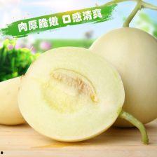 掌上瓜今日瓜沥