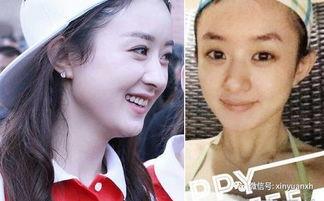 明星网红吧图片,明星网红吧图片集锦解析