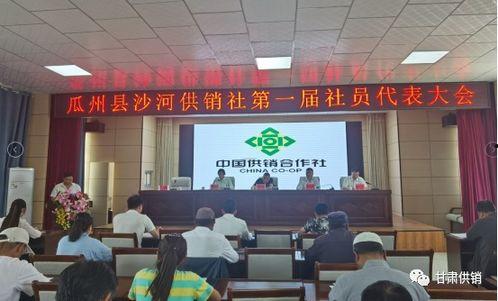 瓜州县沙河乡今日新闻,聚焦乡村振兴，共绘美好家园新画卷