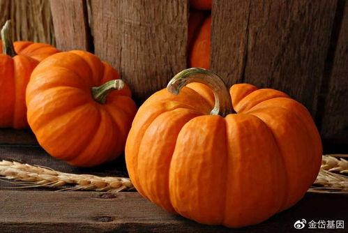 今日宜吃瓜壁纸,揭秘娱乐圈最新热点，壁纸带你一探究竟