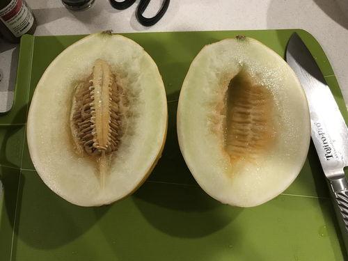 今日有瓜吃,跟随“有瓜吃”探寻娱乐圈最新动态