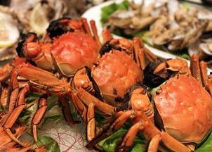 吃过螃蟹可以吃黑蜜瓜吗,黑蜜瓜的甜蜜邂逅