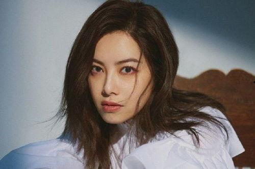 深圳北明星网红,明星风采闪耀鹏城