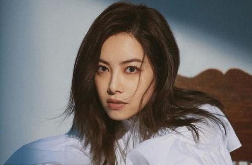 深圳北明星网红,明星风采闪耀鹏城