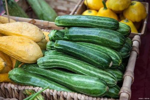 寿光今日哈密瓜最新价格