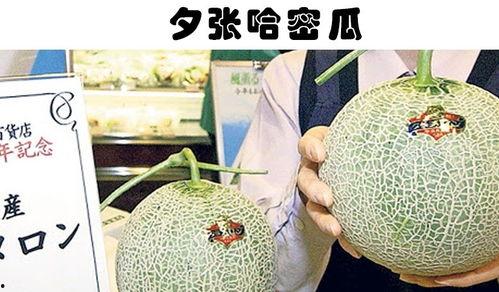 今日哈密瓜行情,今日市场动态一览