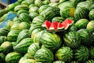 今日热瓜,揭秘娱乐圈最新热点事件