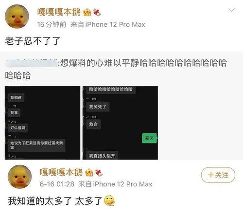 吃瓜爆料怎么发说说,如何巧妙撰写说说吸睛