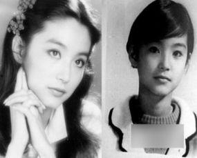 明星网红时代照片,明星网红时代下的瞬间永恒