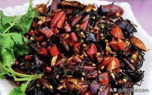 吃瓜黑科是什么意思