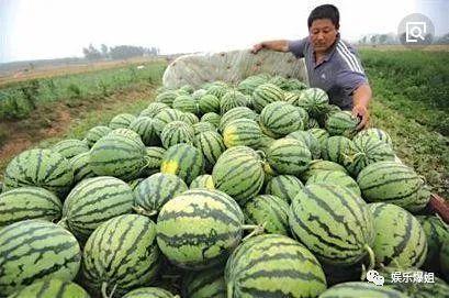 瓜姐 今日吃瓜,揭秘娱乐圈最新热点事件