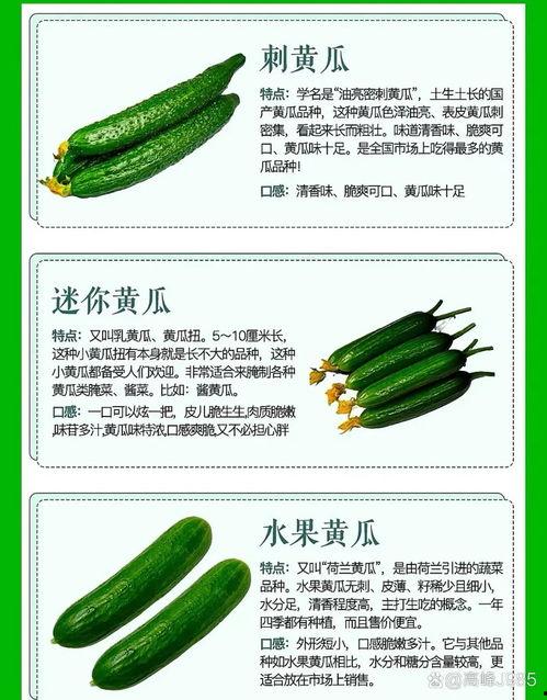 今日瓜点,揭秘娱乐圈最新热点事件