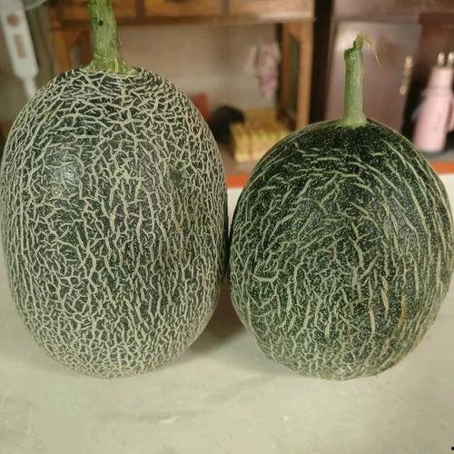 达州市哈密瓜今日价,价格行情一览”