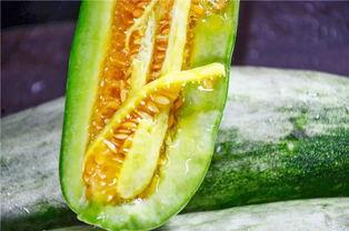 155网红吃瓜爆料,155网红揭秘娱乐圈吃瓜大事件