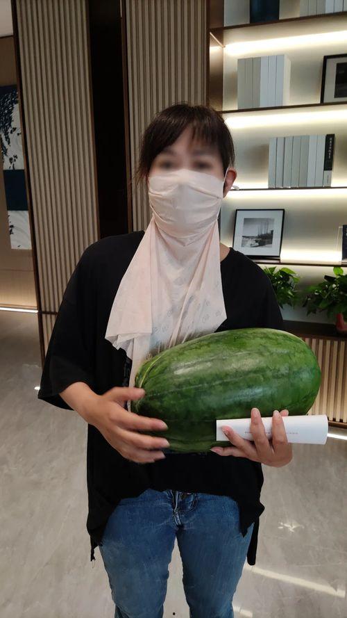 kpop今日瓜,揭秘娱乐圈最新瓜料