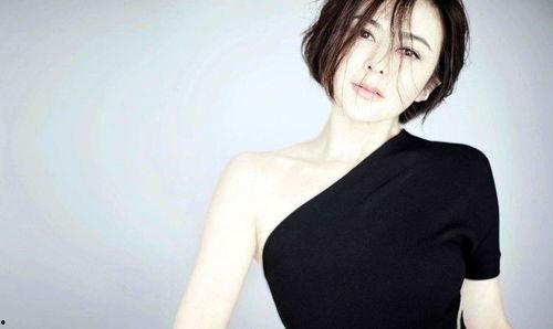 退网的明星网红,揭秘明星网红背后的隐秘故事”