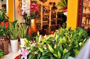 最新吃瓜爆料花店事件,揭秘最新吃瓜爆料背后的真相