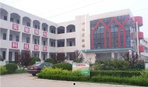 肥城王瓜店今日头条,探寻历史悠久的瓜果传奇，品味今日头条新鲜资讯