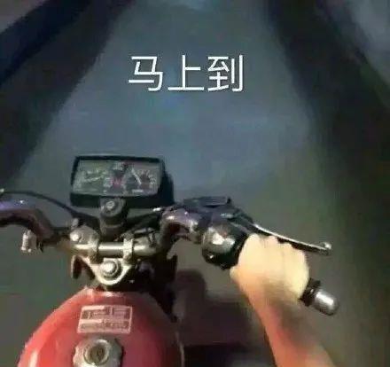 圈内爆料吃瓜的视频,独家爆料，吃瓜视频带你一探究竟