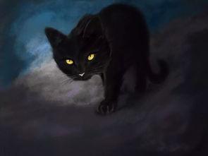 吃瓜抖音山猫无名黑料,吃瓜群众热议的无名黑料事件