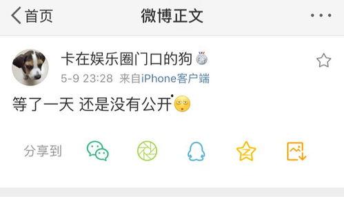 吃瓜爆料往期合集,回顾往期精彩合集，揭秘娱乐圈幕后故事