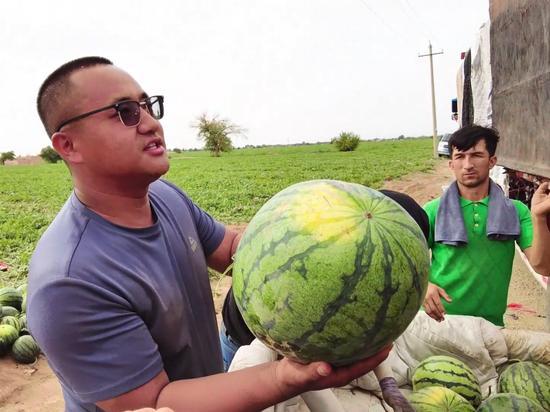 每日大瓜今日吃瓜,今日吃瓜指南，揭秘娱乐圈最新热点
