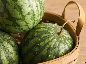 每日大瓜今日吃瓜,今日吃瓜指南，揭秘娱乐圈最新热点