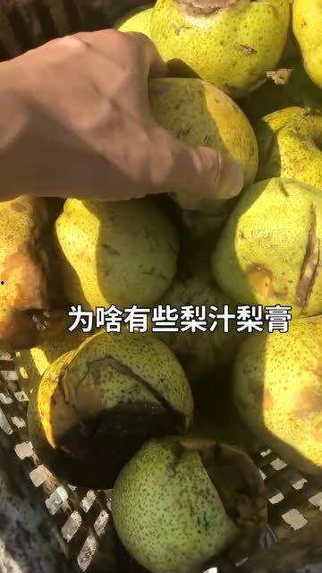 茭瓜黑的心可以吃吗,能否安全食用？