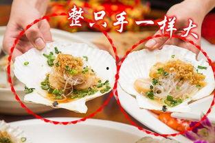 明星网红吃粤菜,明星网红的味蕾之旅