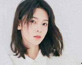 明星网红属于什么,新时代的社交影响力代表