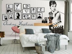 明星网红沙发背景