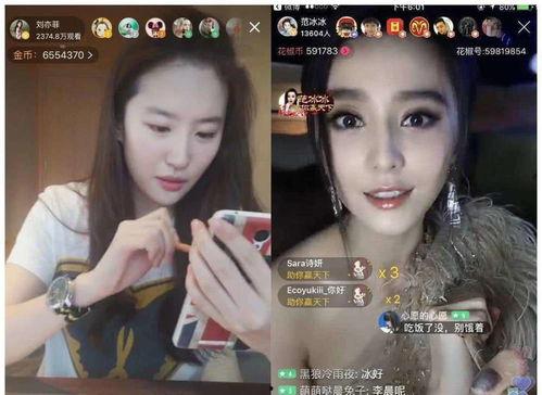 娱乐明星网红新闻,明星网红新动态，热点事件一网打尽！