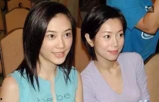 明星网红合照图片,明星网红同框瞬间，精彩瞬间尽收眼底