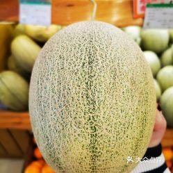 什么鱼吃黑蜜瓜好养活,养殖易上手，食性广泛的理想观赏鱼